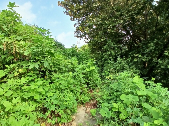 본건 기호(1) 전경