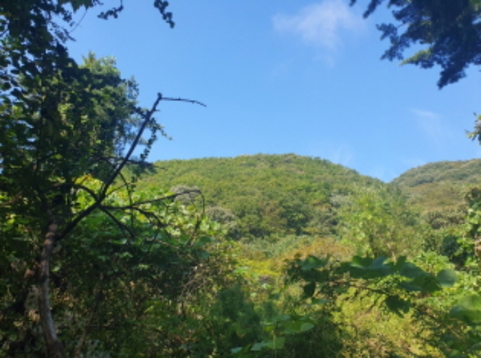 전경