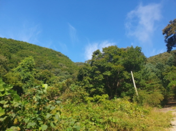 전경