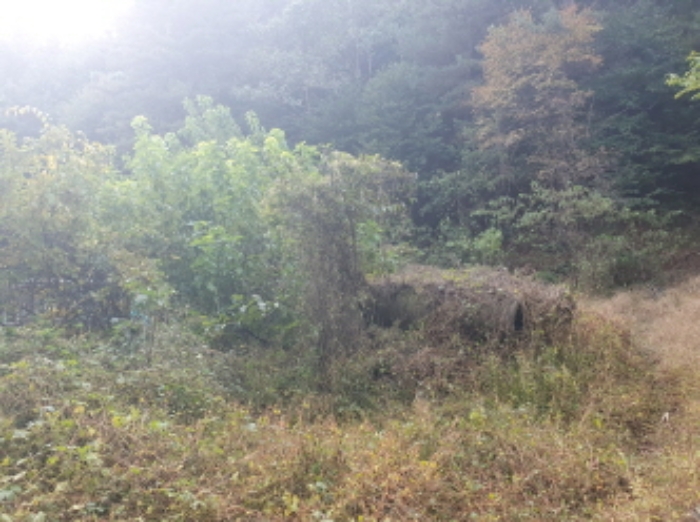 목록1