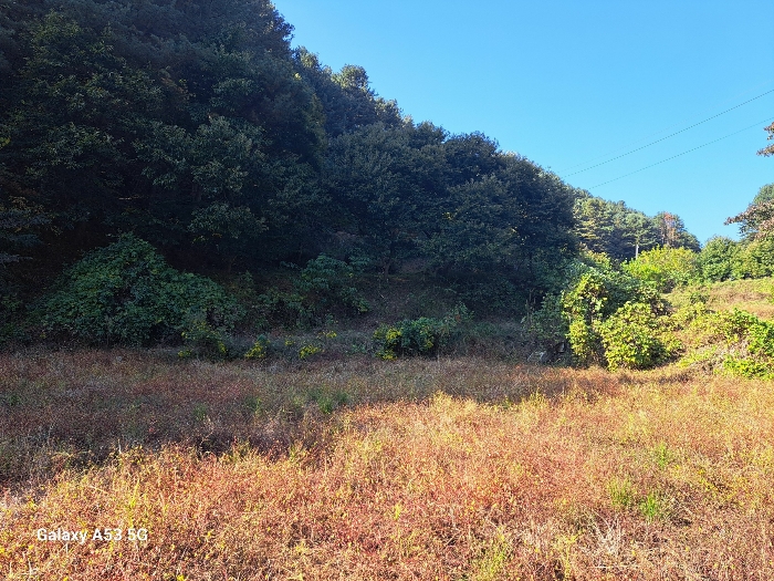 기호(1,2)토지의 주변전경