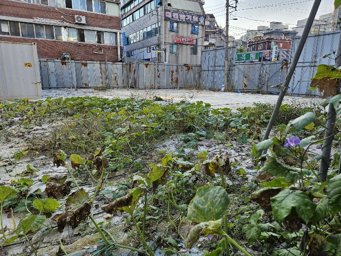 북동측 근거리 촬영