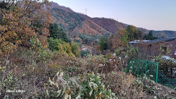 기호(2, 3)토지 전경