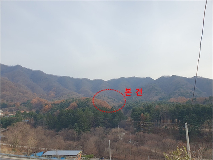 본건 원거리 전경(북서측 촬영)