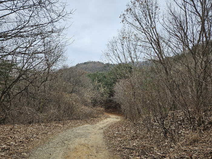주변 전경