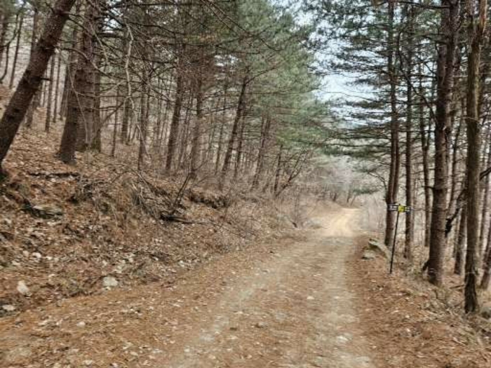 서측 인근의 임도