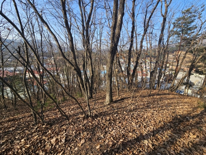 일련번호 1) 전경