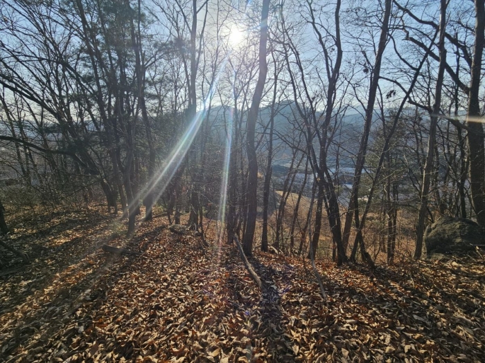 일련번호 1) 전경