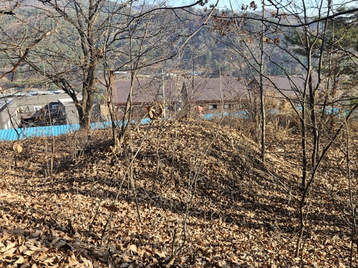 분묘소재부분 전경