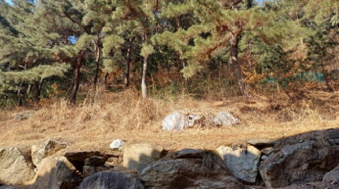 목록 20. 토지(산쪽 모습)