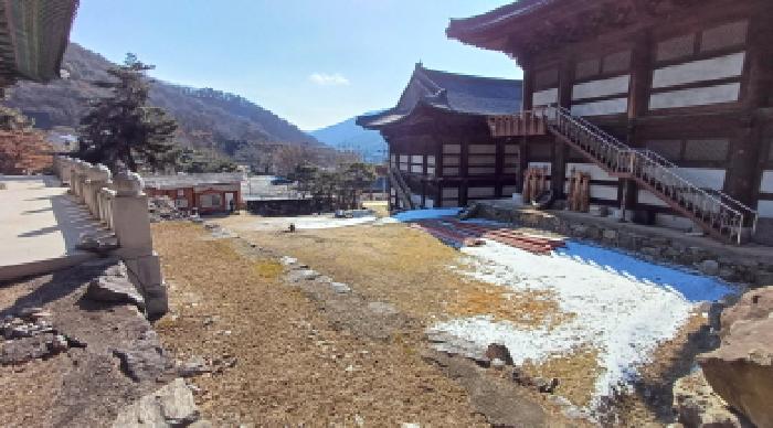 목록 15. 토지 전경(안쪽에서 진입로쪽을 본 모습)