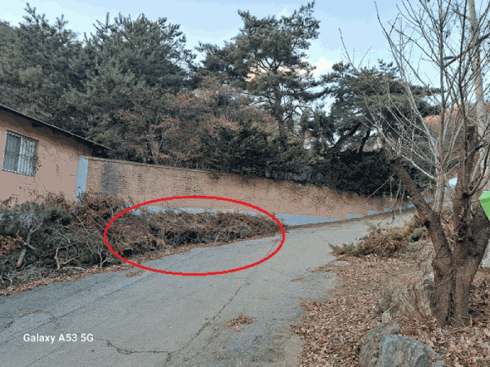 기호(3)토지 전경/현황 도로