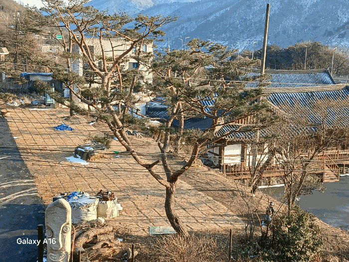 평가에서 제외된 조경수(소나무) 전경/기호(5, 8)지상