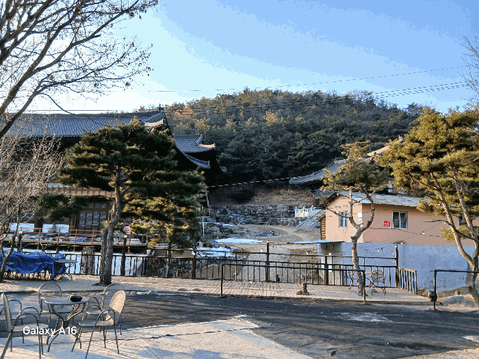 기호(15, 20)토지 전경