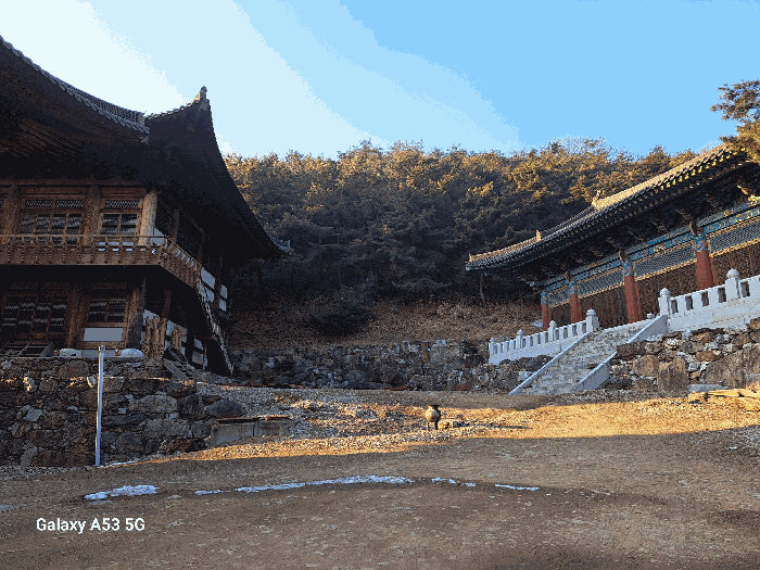 기호(15, 20)토지 전경