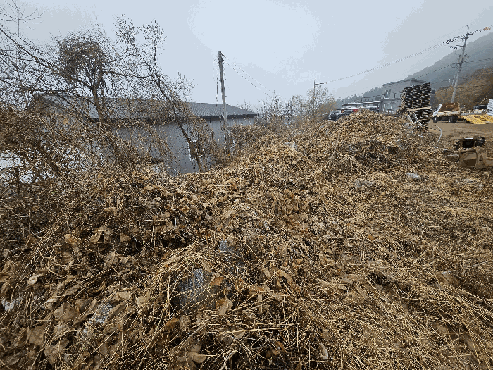 기호5