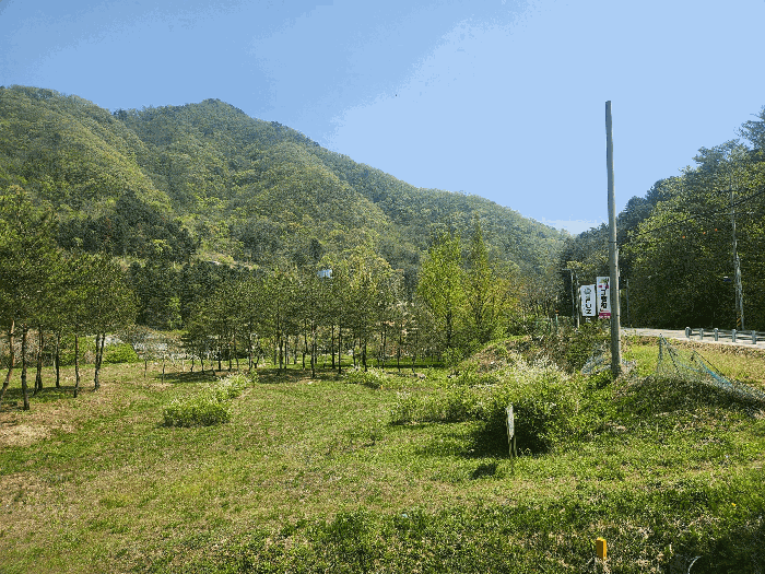 본건 전경
