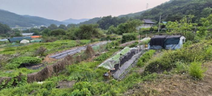 목록 1. 토지