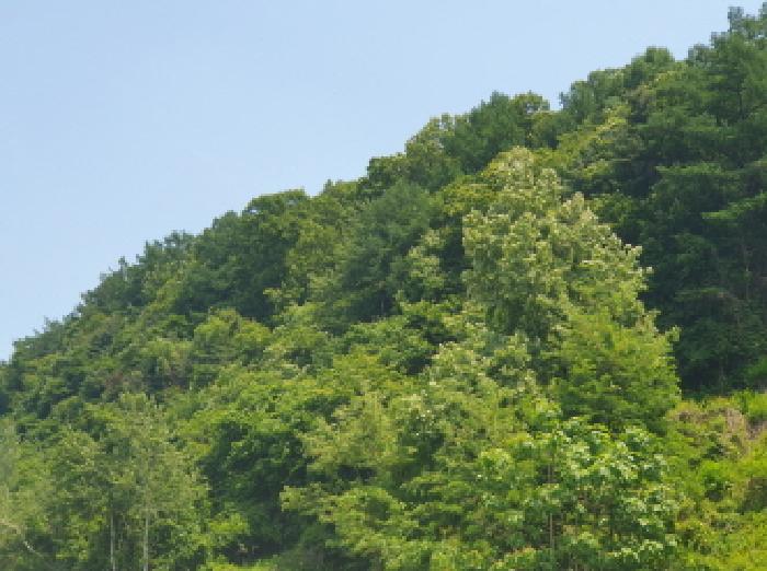 목록1