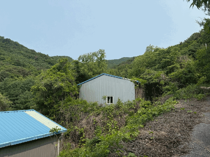 일련번호 나) 전경