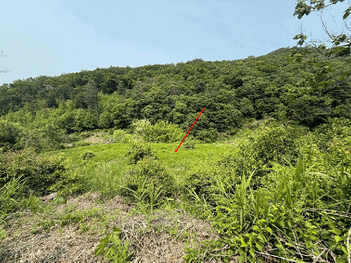 일련번호 2) 전경
