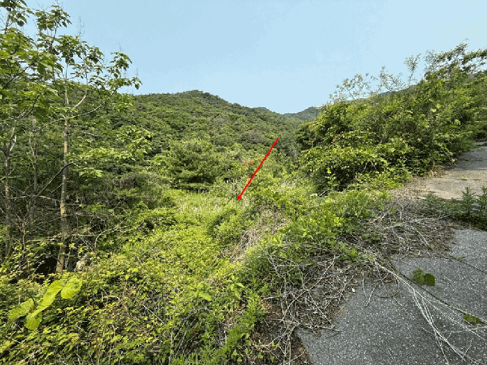 일련번호 4) 전경