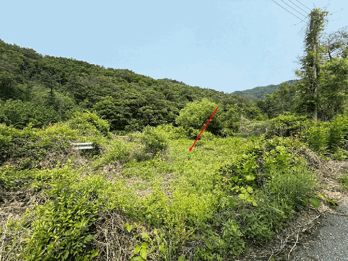 일련번호 3) 전경