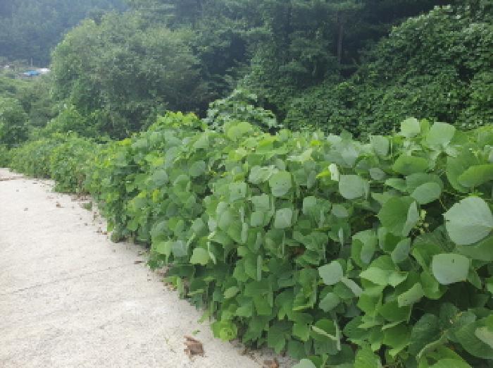 목록6