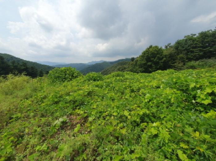 목록7