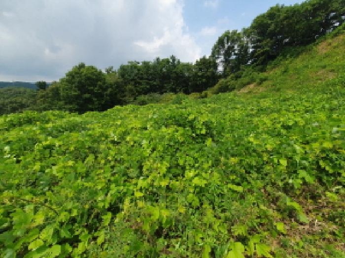 목록8