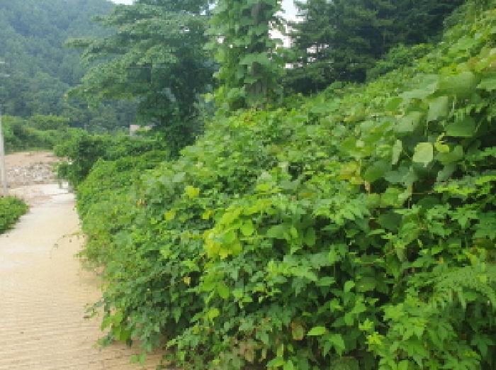 목록13