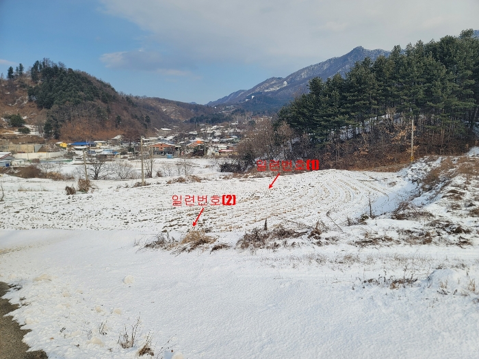 일련번호(1) 전경