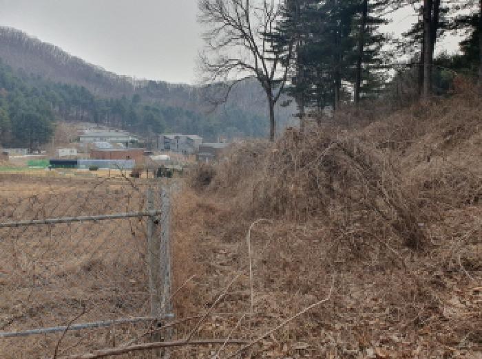 전경