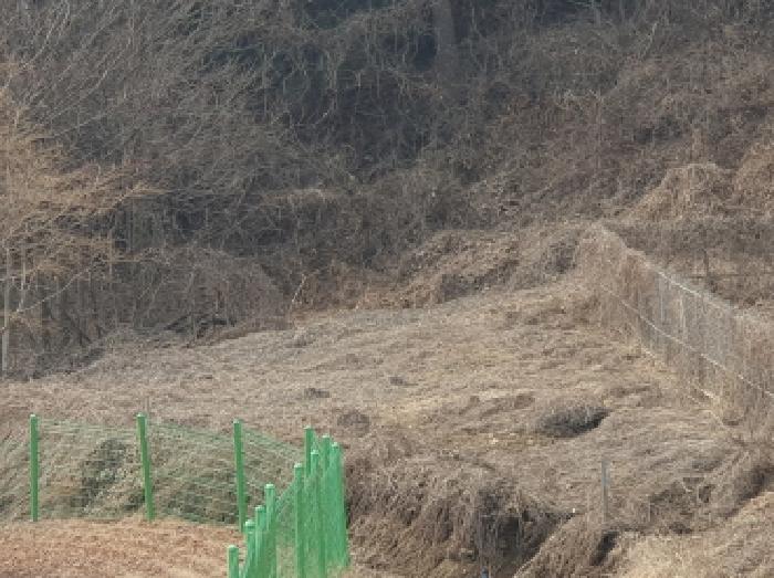 전경