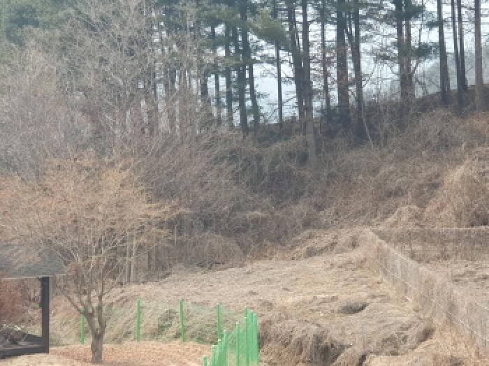 전경