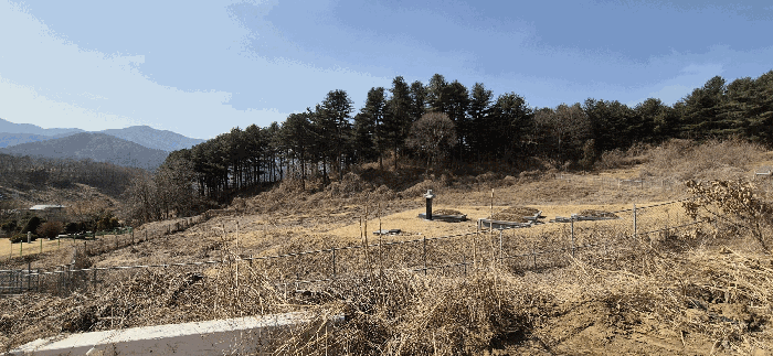 본건 전경