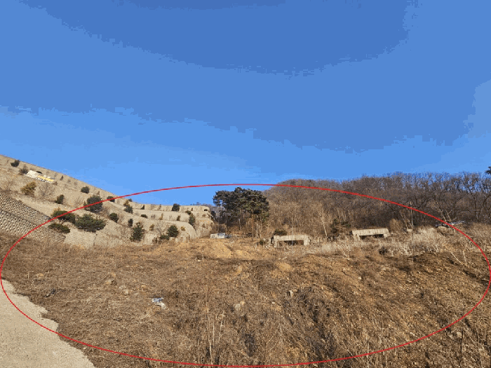 본건 전경