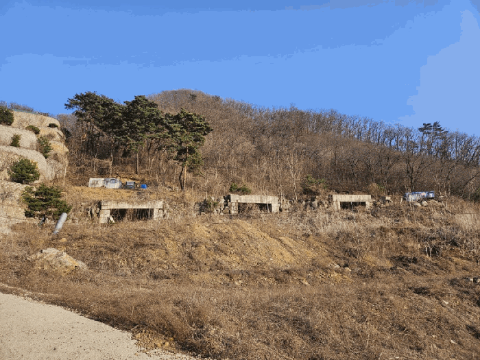 본건 전경