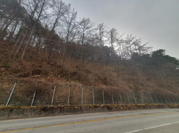 전경2