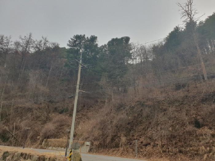 전경5