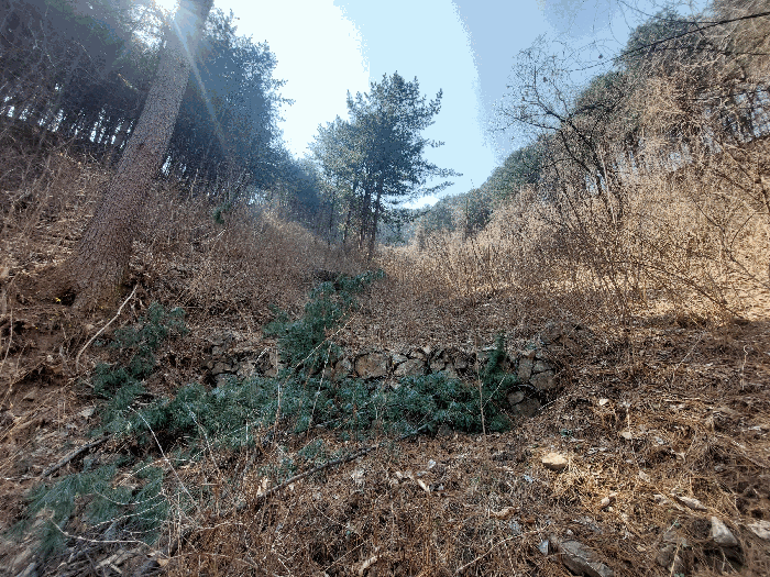 본건 전경