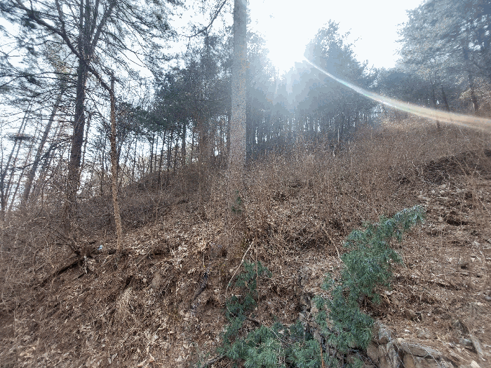본건 전경