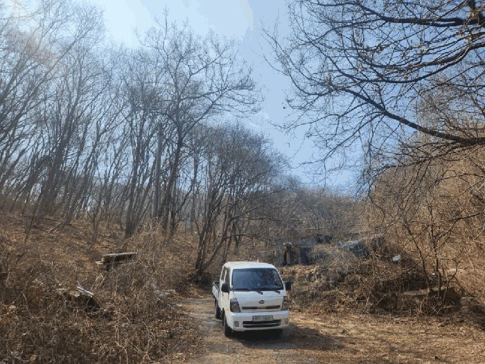 대상물건(일련번호 2토지)