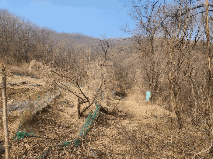 대상물건(일련번호 2토지)