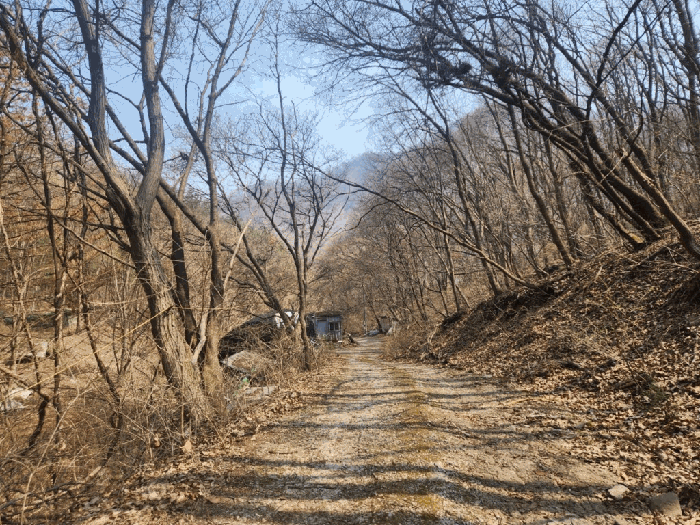 대상물건(일련번호 2토지)