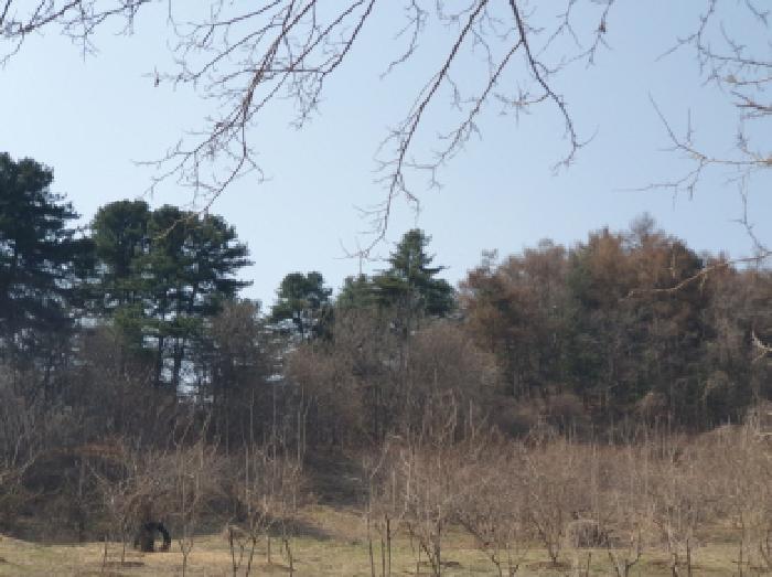 전경