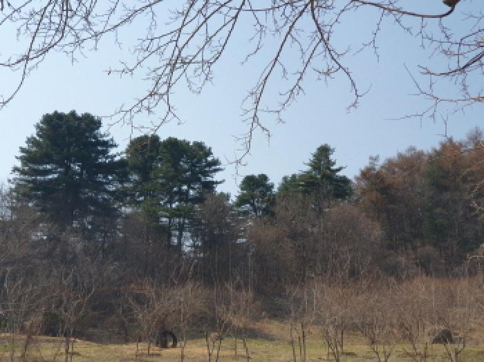 전경