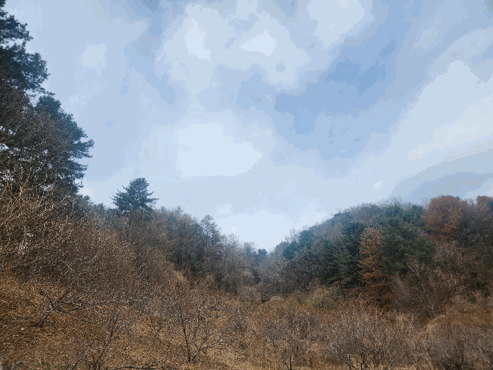 본건 전경