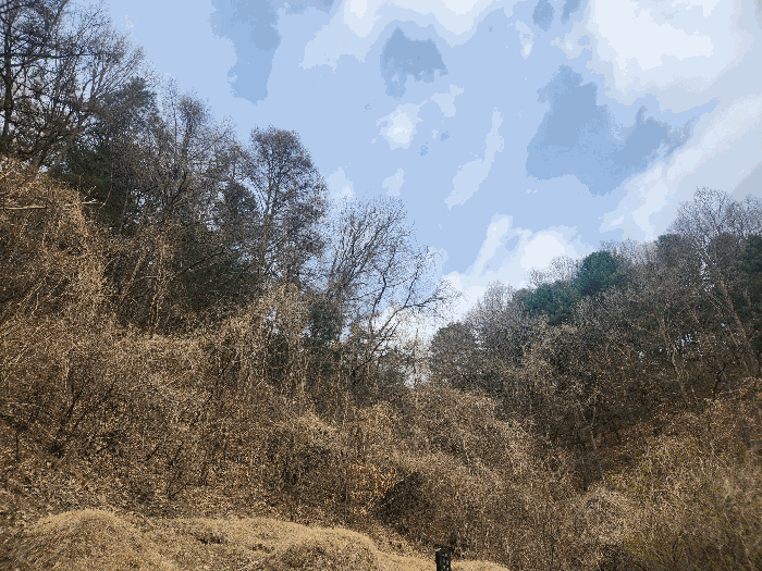 본건 전경