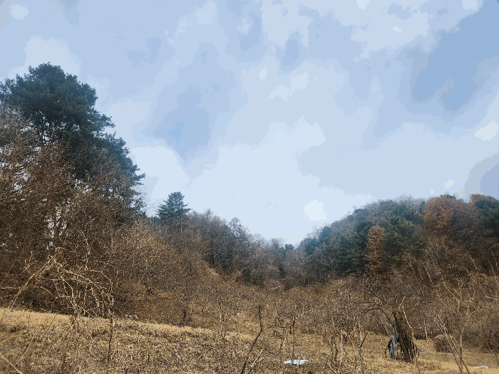 본건 전경
